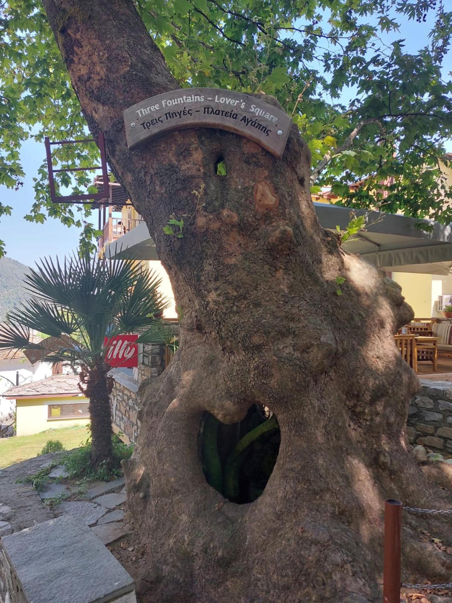 Amaya Pine Studio Panagia  Zewnętrze zdjęcie